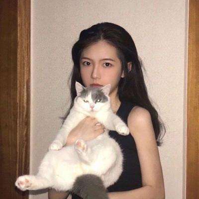 熊猫博士幼稚园完整版下载
